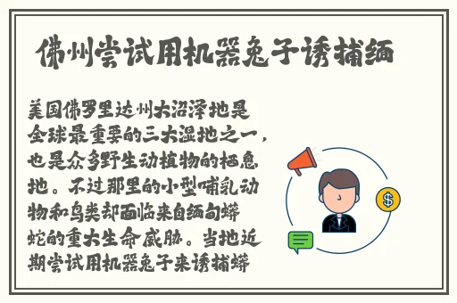爸气十足EP32的女主是谁